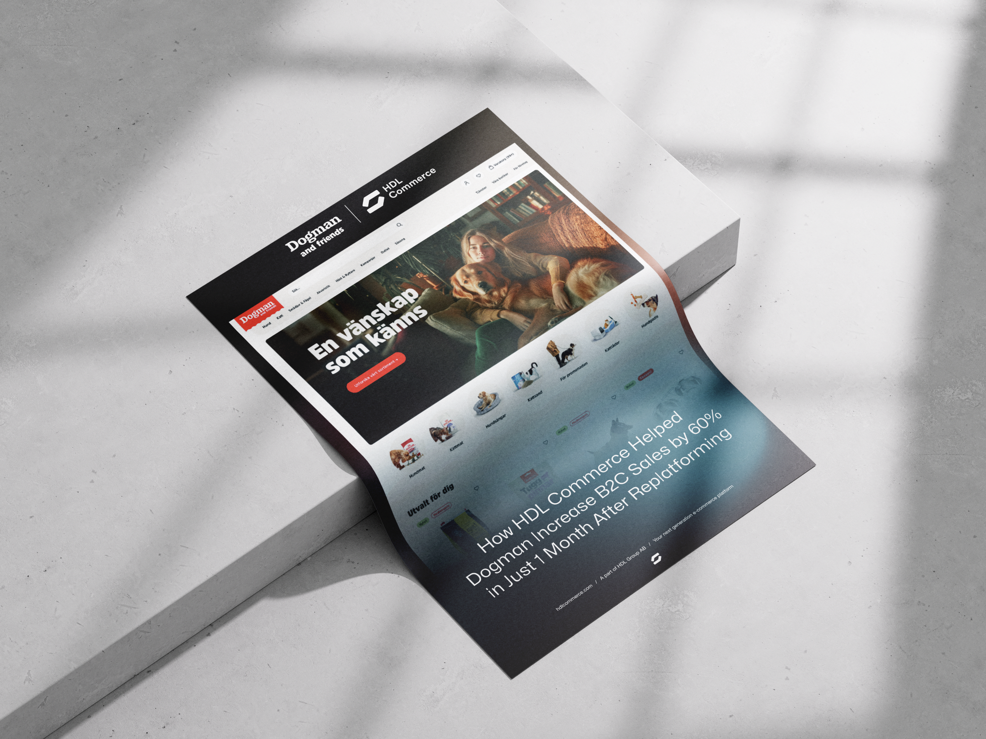 Screenshot 2025-11-28 at 10.50.16