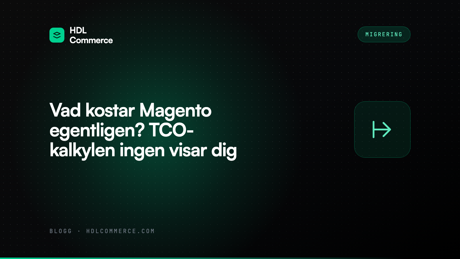Vad kostar Magento egentligen? TCO-kalkylen ingen visar dig